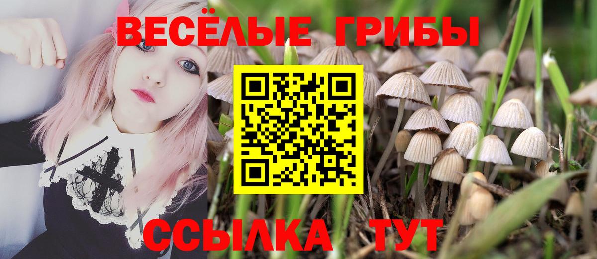 Псилоцибиновые грибы Cubensis  Галлюциногенные грибы GOLDEN TEACHER  Вход с VPN  Ачхой-Мартан 